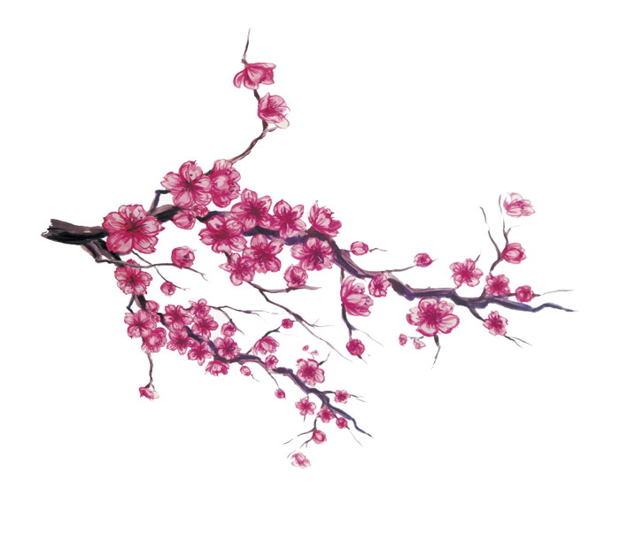 Tuyển tập 119+ mẫu ảnh chibi hoa đào dễ thương và cuốn hút nhất -  hinhanhdep3d.com