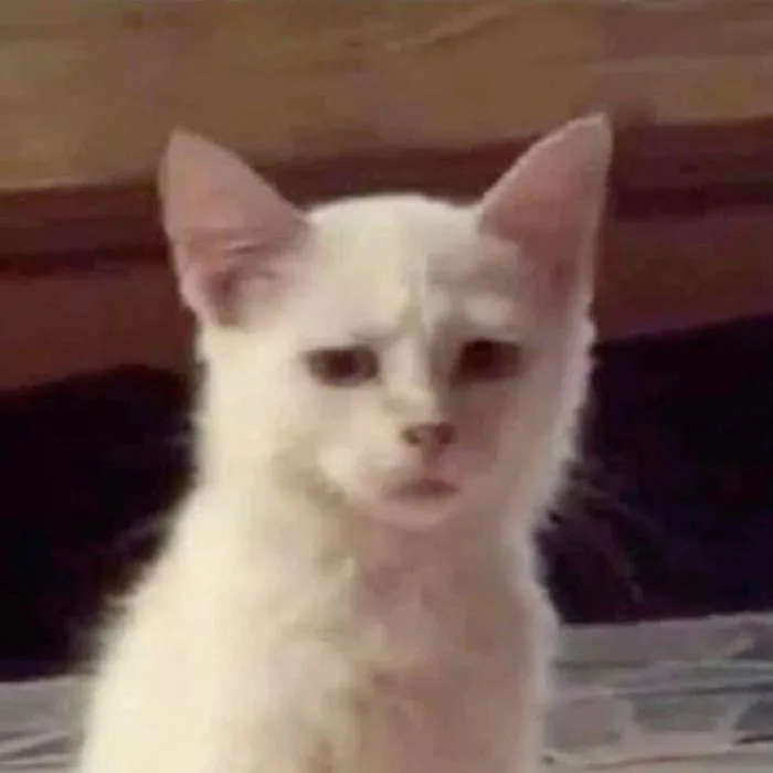 Tổng hợp ảnh meme bất ngờ hài hước làm bạn trở tay không kịp