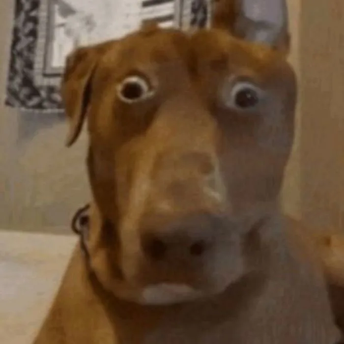Tổng hợp ảnh meme bất ngờ hài hước làm bạn trở tay không kịp