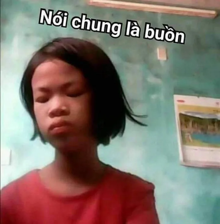 Tổng hợp meme buồn hài hước nhất