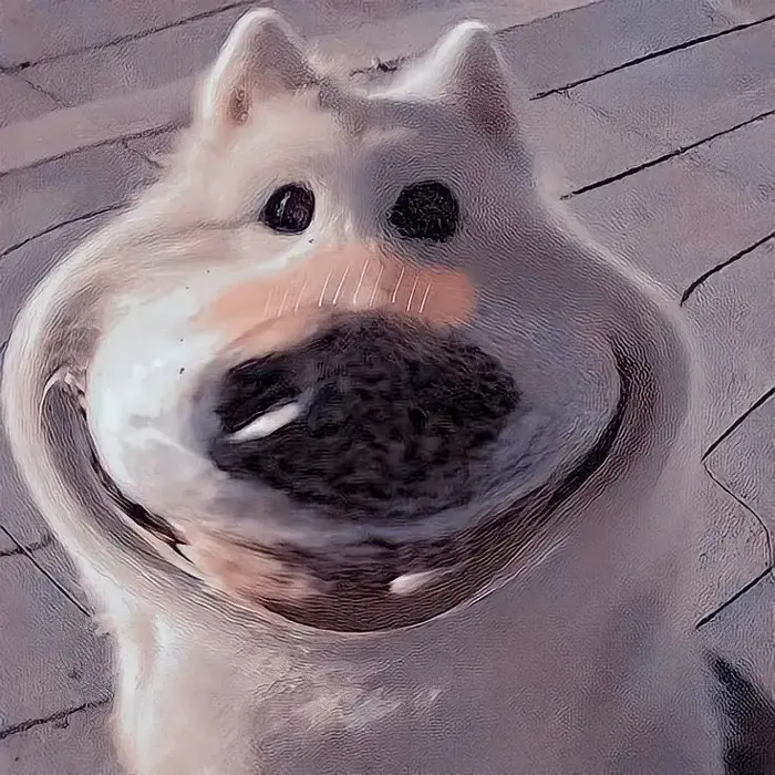 Trọn bộ 300+ ảnh Meme Chó siêu hài hước, nhây bựa với hàng loạt biểu cảm