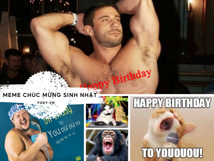 1001+ Meme Chúc Mừng Sinh Nhật VUI NHỘN HÀI HƯỚC | Yody