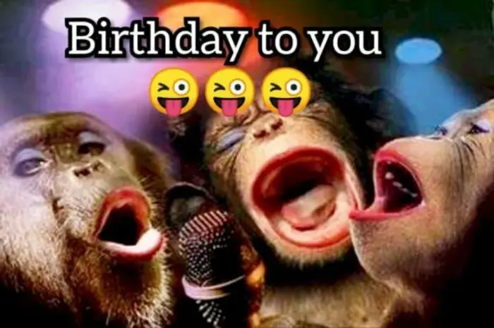 99+ Meme chúc mừng sinh nhật hài hước - Mẫu bánh troll