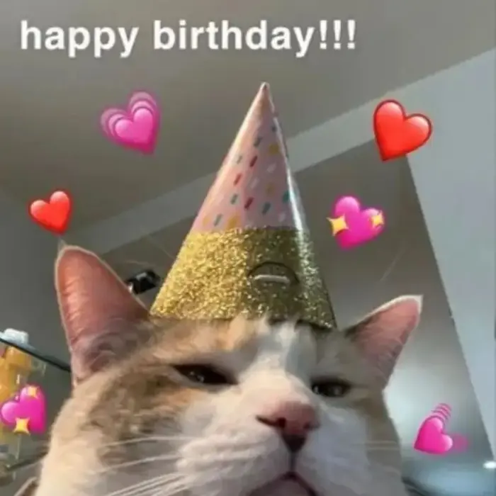 88+ Meme Chúc Mừng Sinh Nhật Tù Lầy Lội Gây Bão Mạng Xã Hội