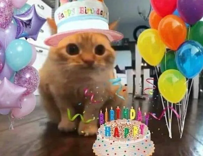 Bộ Sưu Tập 99+ Meme Chúc Mừng Sinh Nhật Dễ Thương, Hóm Hỉnh
