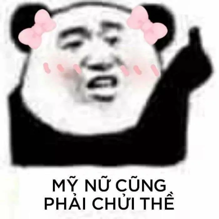 Meme là gì? 300+ meme hài, chất nhất quả đất để bạn comment dạo thả ga -  BlogAnChoi