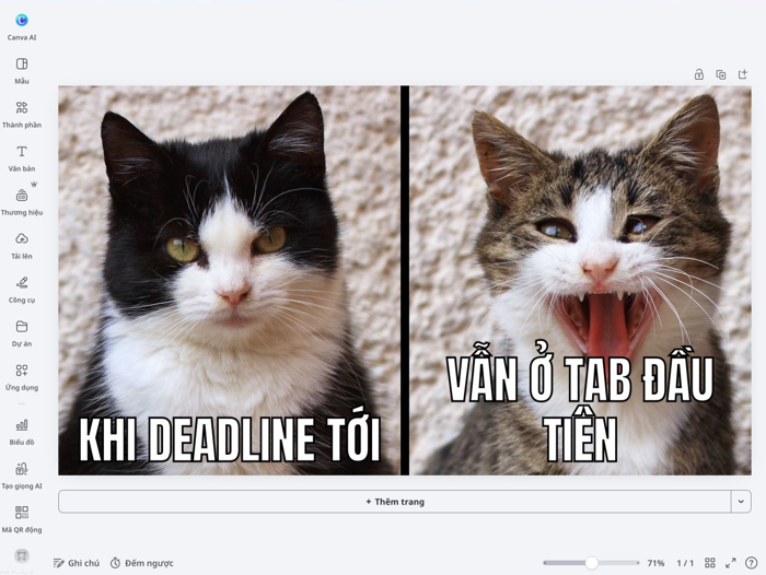 Chế ảnh meme hài online từ ảnh riêng và mẫu có sẵn | Canva