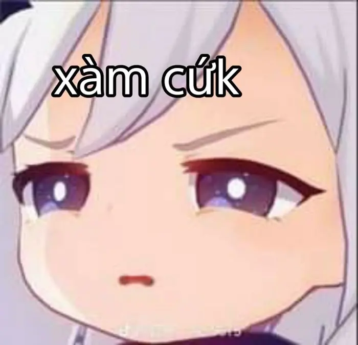 Top 145+ ảnh meme chửi độc lạ vừa xem vừa xả stress hiệu quả