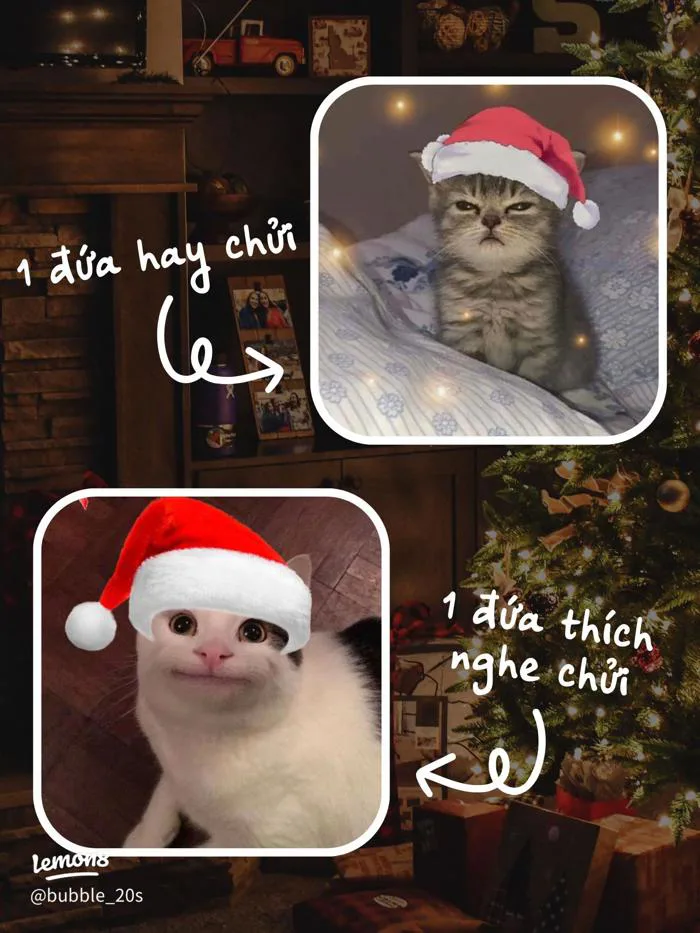 Avatar đôi vô tri Giáng Sinh: mèo meme, chó meme cute cho bạn thân & người  yêu