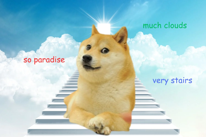 Top 5 dog meme coin thống trị thị trường meme coin