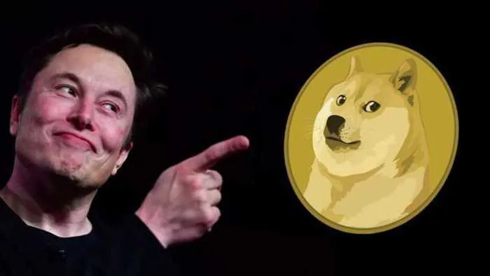 Meme coins hồi sinh hay ăn theo ông chủ của Tesla?