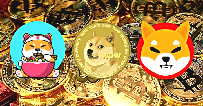 Cơn sốt tiền số Meme Coin