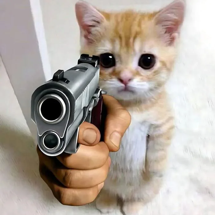 anh-meme-con-meo-1