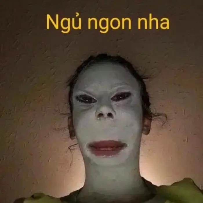 Tổng hợp ảnh meme chế hài hước nhất khiến bạn cười xỉu