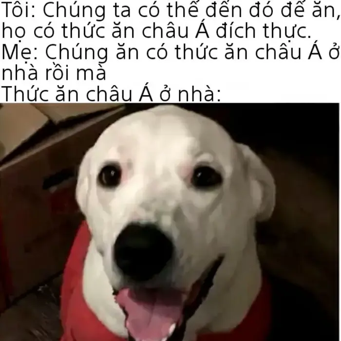 999 Dark Meme siêu tối - Ảnh Dark Face Việt Nam 999 Dark Meme siêu tối - Ảnh Dark Face Việt Nam