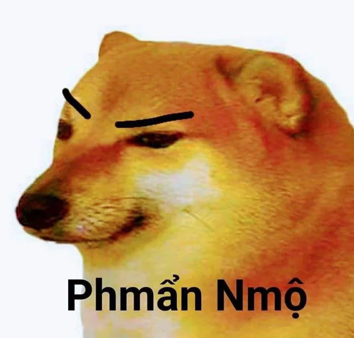 anh-meme-dog-1