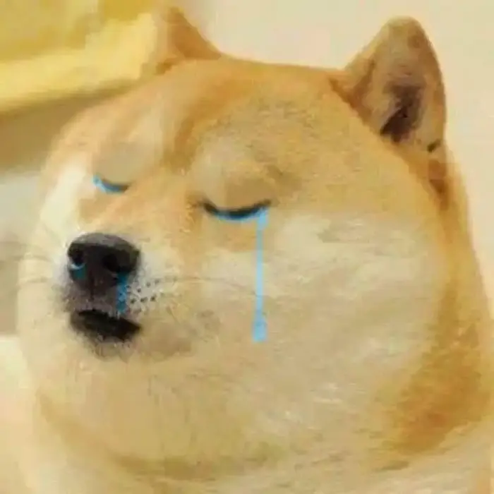 Tổng hợp ảnh meme dog hài hước khiến bạn cười không ngớt