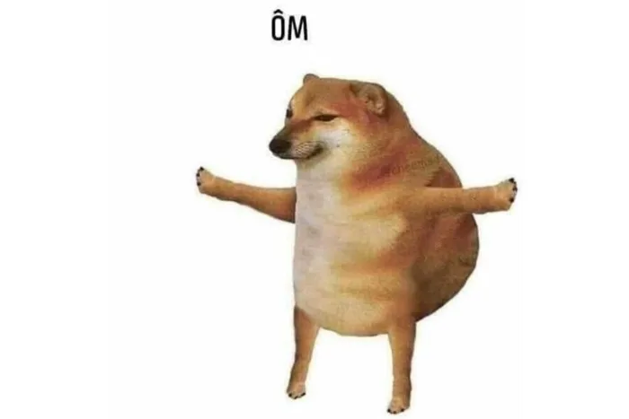 Top meme ảnh chó hài hước trên mạng xã hội, nguồn gốc và ý nghĩa!