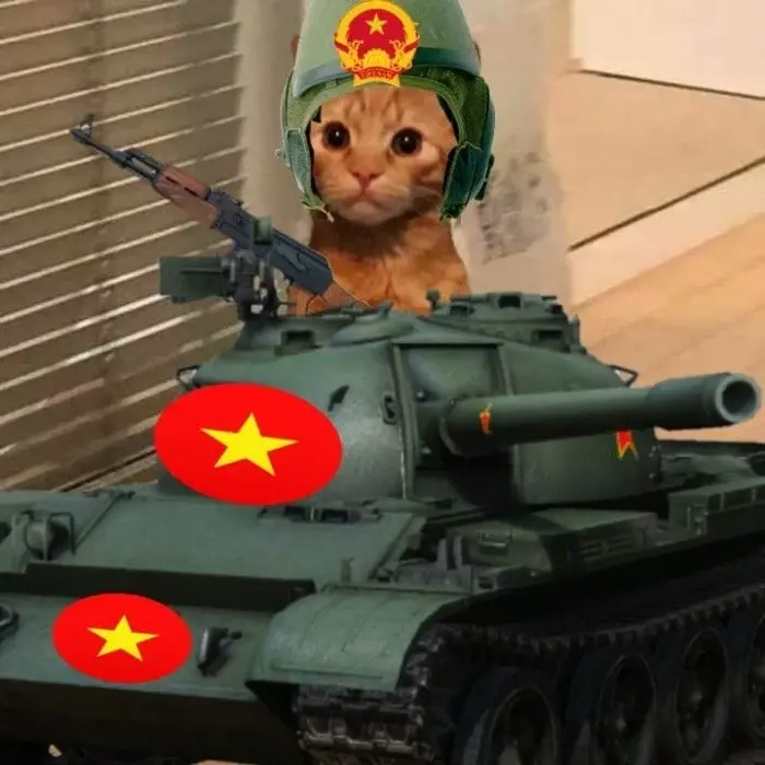 Bộ sưu tập ảnh đội quần meme cực chất đậm chất giải trí