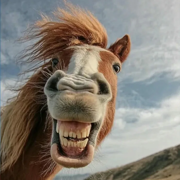 Cập nhật 100+ meme avatar độc lạ, vui nhộn cho mạng xã hội