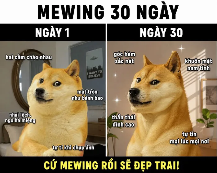 Mewing meme face siêu lầy, ảnh chế mewing hài hước 2026