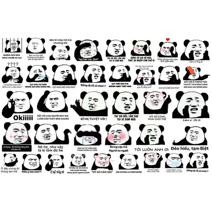 Tuyển tập 99+ hình gấu trúc meme cực hài, bá đạo và hóm hỉnh | Yody
