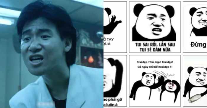Tuyển tập 99+ hình gấu trúc meme cực hài, bá đạo và hóm hỉnh | Yody
