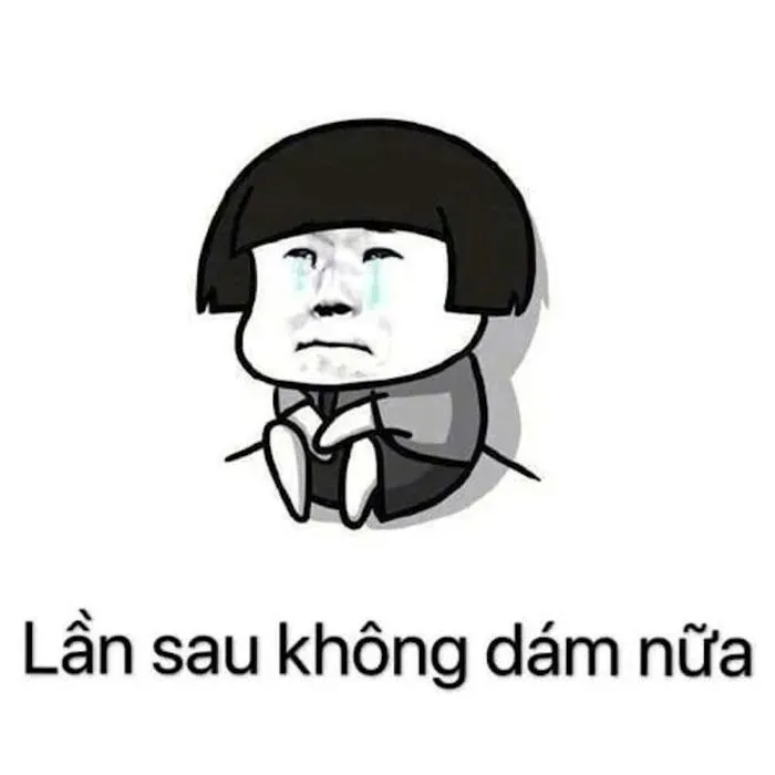Tổng Hợp 100+ Meme Gấu Trúc Hài Hước, Hóm Hỉnh 2026
