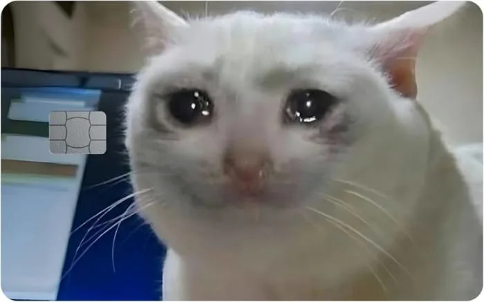 Bộ sưu tập 117+ meme gato hài hước gây bão cộng đồng mạng - hinhanhdep3d.com