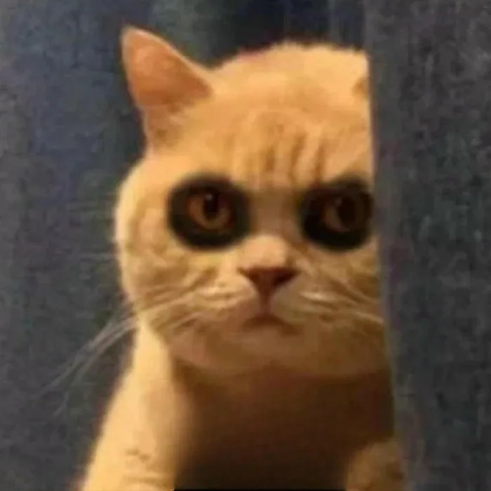 177+ meme mất ngủ hài hước cho dân thức khuya mỗi đêm