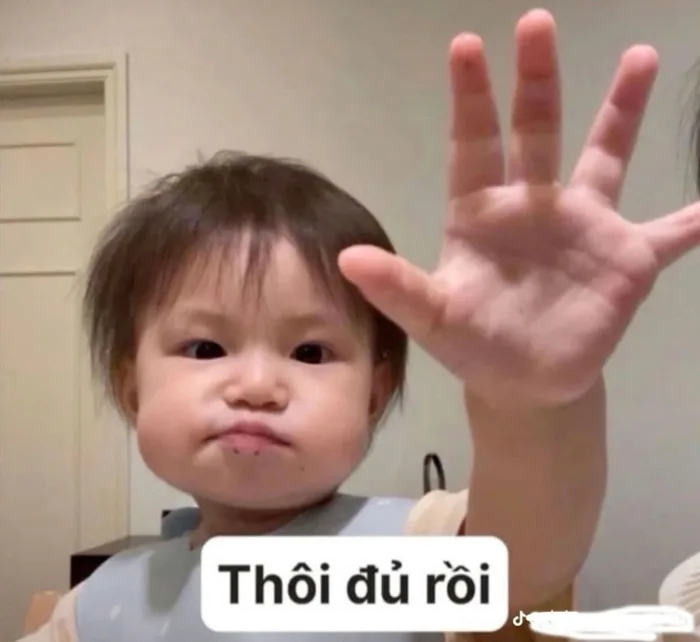 Meme là gì? Sức hút của meme trên các nền tảng mạng xã hội