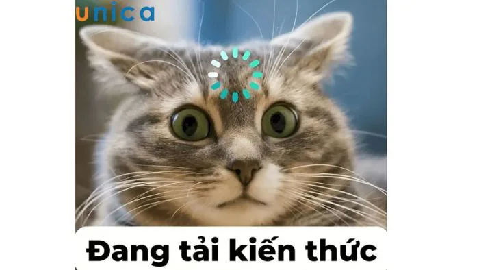 Meme là gì? Top 11 Meme được yêu thích nhất hiện nay