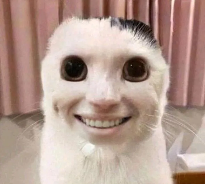 anh-meme-hai-1