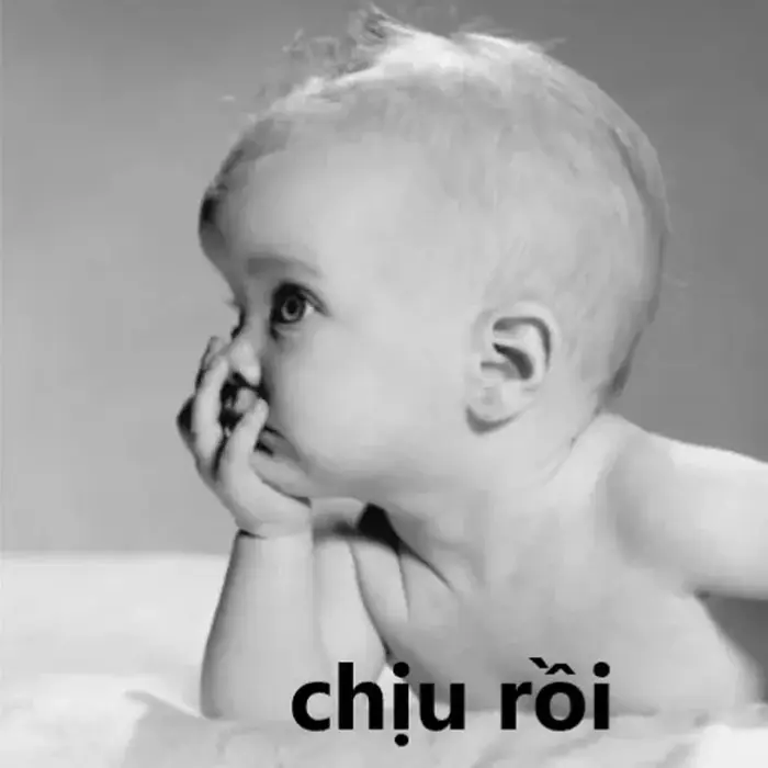 Story » 36 ảnh Meme Chịu Thua, Chịu Rồi hài hước khi buông xuôi không giải  quyết nổi