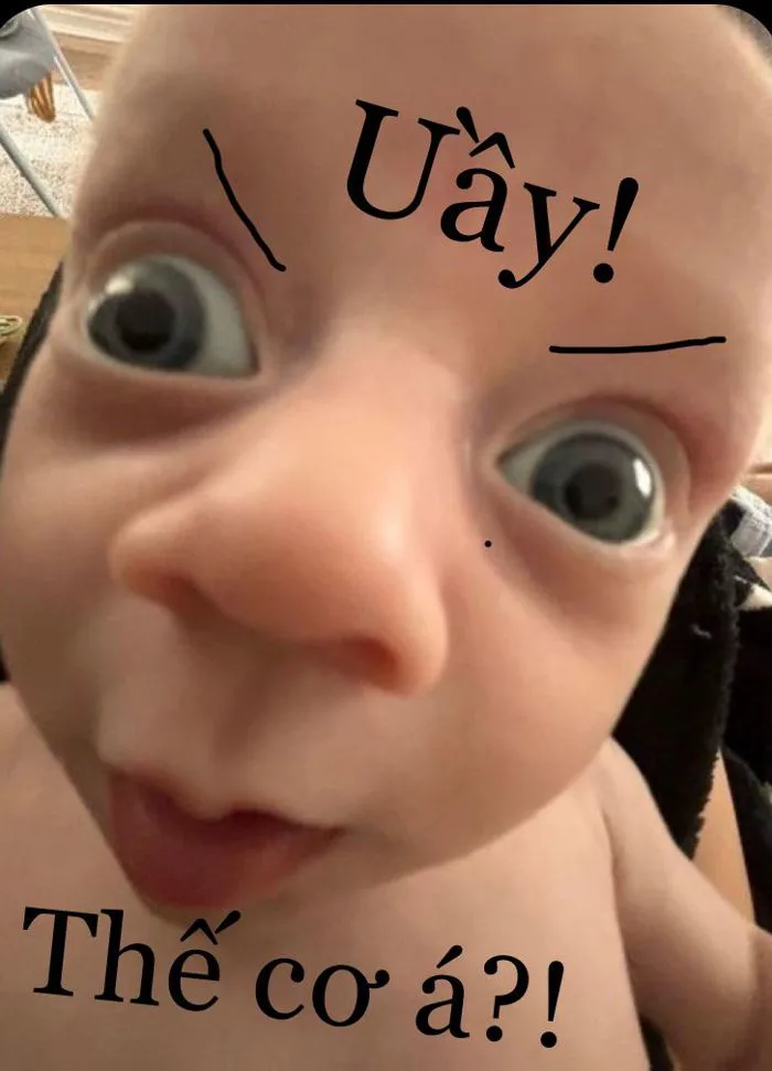 900+ Meme hài 🤣🥲🙂😎😍🙏👍🏻 ý tưởng trong 2026 | hài hước về mèo, chuyện  tào lao, ảnh chú hề