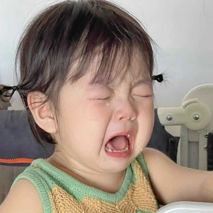 Khám phá ngay bộ ảnh meme khóc hài hước, siêu viral đang làm mưa làm gió  trên mạng xã hội!