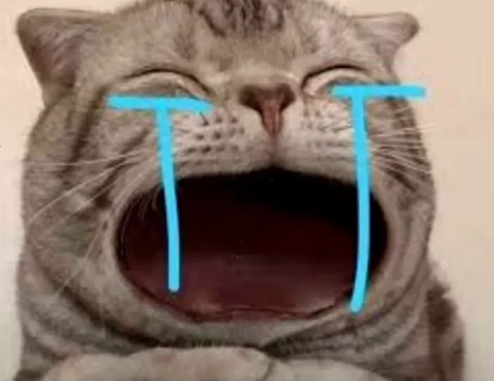 Top Meme Khóc Đầy Cảm Xúc Viral Nhất Mạng Xã Hội 2026