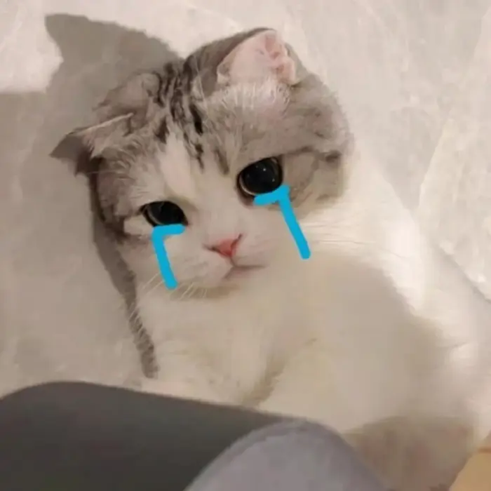 3.281+ Ảnh Meme Khóc Buồn Khóc Cười Hài Hước Slay Cực Yêu