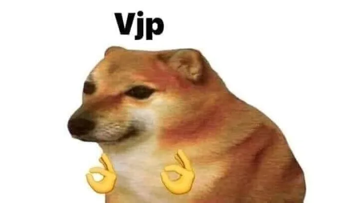Funny dog with VIP earrings | Cheems dog bonk, Doge reaction meme, Doge  back meme