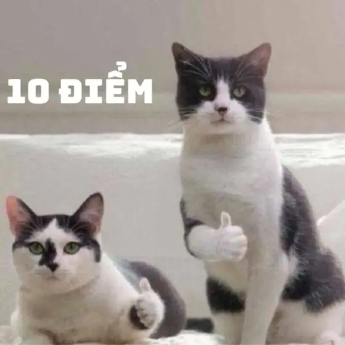 BST 100+ ảnh Meme Like thể hiện sự nhất trí, tán thành qua lăng kính hài  hước
