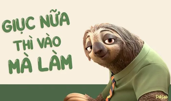 Hình nền con lười Flash Zootopia meme – Xu hướng giải trí mới cho dân văn  phòng | ROSA Computer