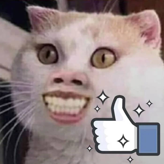 Meme Mèo Like Hài Hước Cực Dễ Thuơng [30+ Hình Chế Vui]