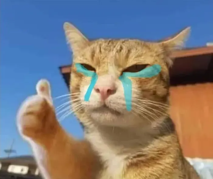 175+ Meme Like (thích) siêu hài và sáng tạo cười khùng!