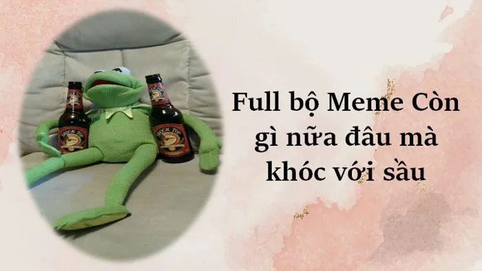 Meme: 999+ Những hình ảnh meme hay, hài hước nhất VN