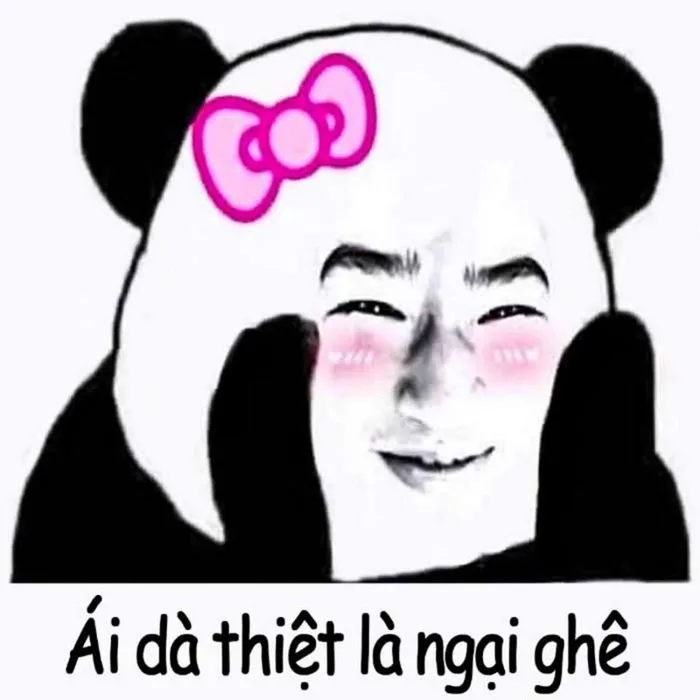 anh-meme-ngai-1