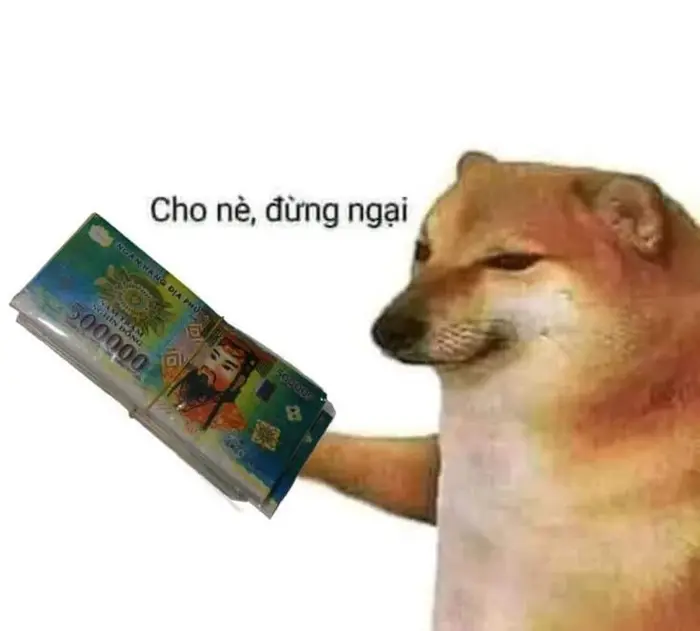 Khám phá ảnh meme ngại hài hước thú vị và siêu dễ thương