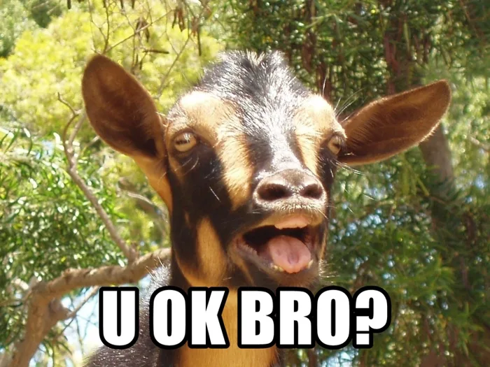 Meme OK là gì? TOP meme OK nổi bật trên mạng xã hội hiện nay