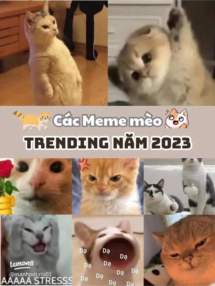 Top 2023 Trends: Viral Memes, Catchphrases, Music, Fashion & More |  2025 trải nghiệm người dùng thực trên Lemon8