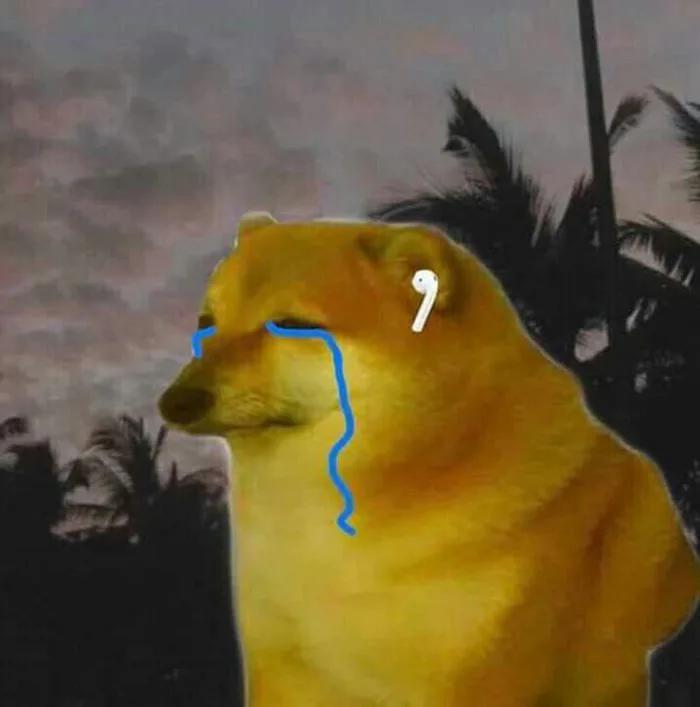 Tổng hợp 100+ meme cheems hài hước, thú vị - Ảnh đẹp Free