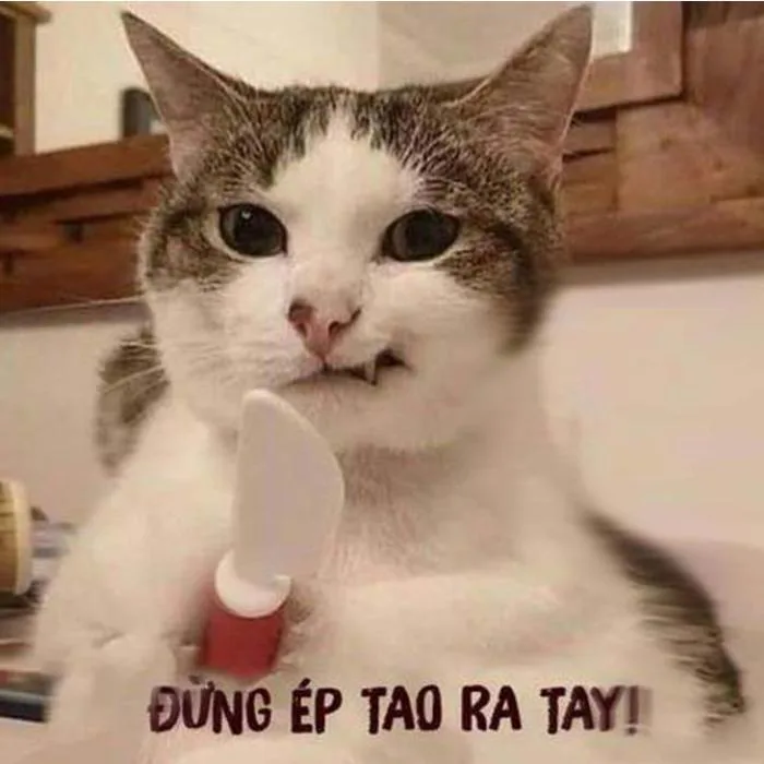 anh-meme-tuc-gian-1